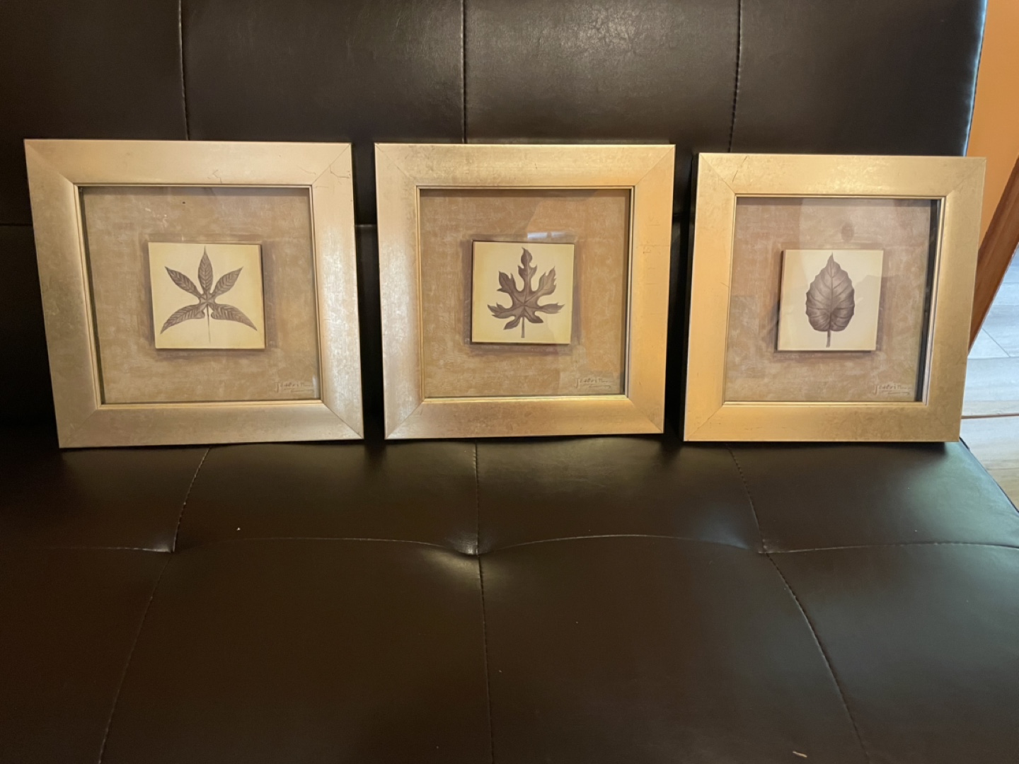 Set of 3 Framed Leaf Prints