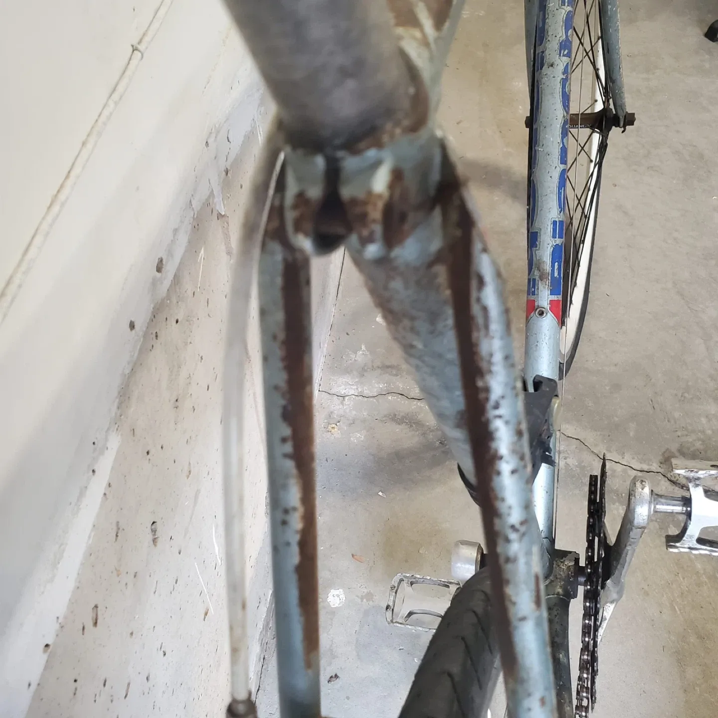 Bianchi Road Bike with Dura-Ace Components image indicator(6)