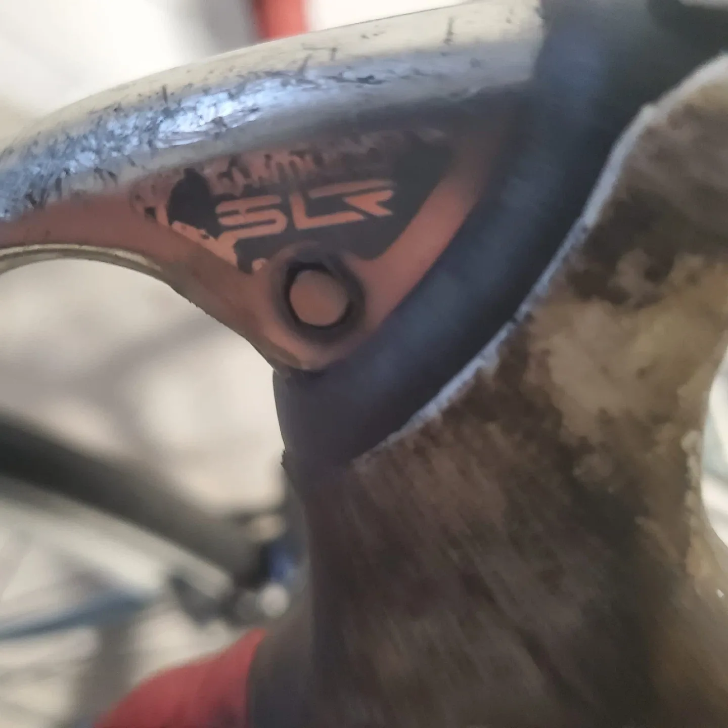 Bianchi Road Bike with Dura-Ace Components image indicator(7)