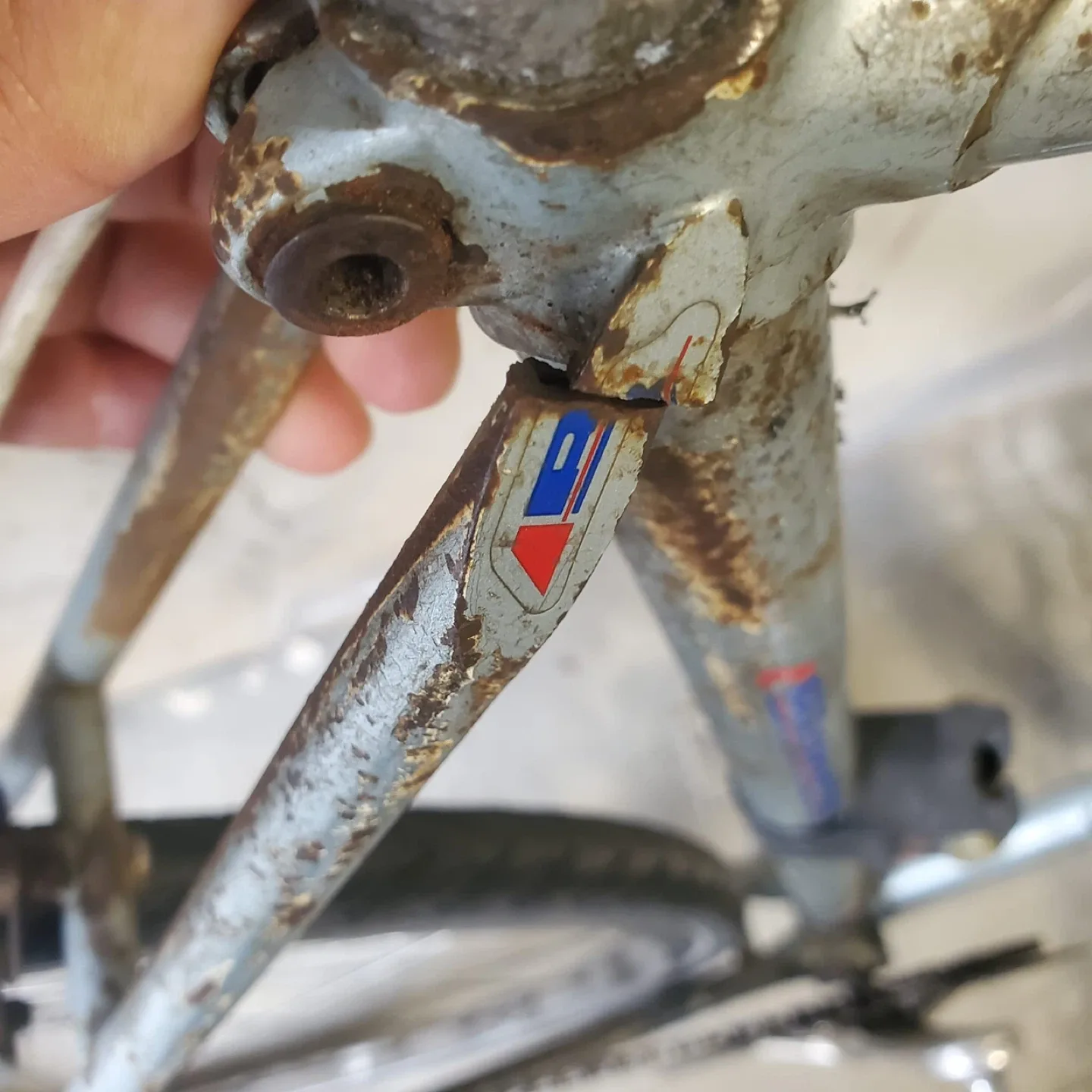 Bianchi Road Bike with Dura-Ace Components image indicator(10)