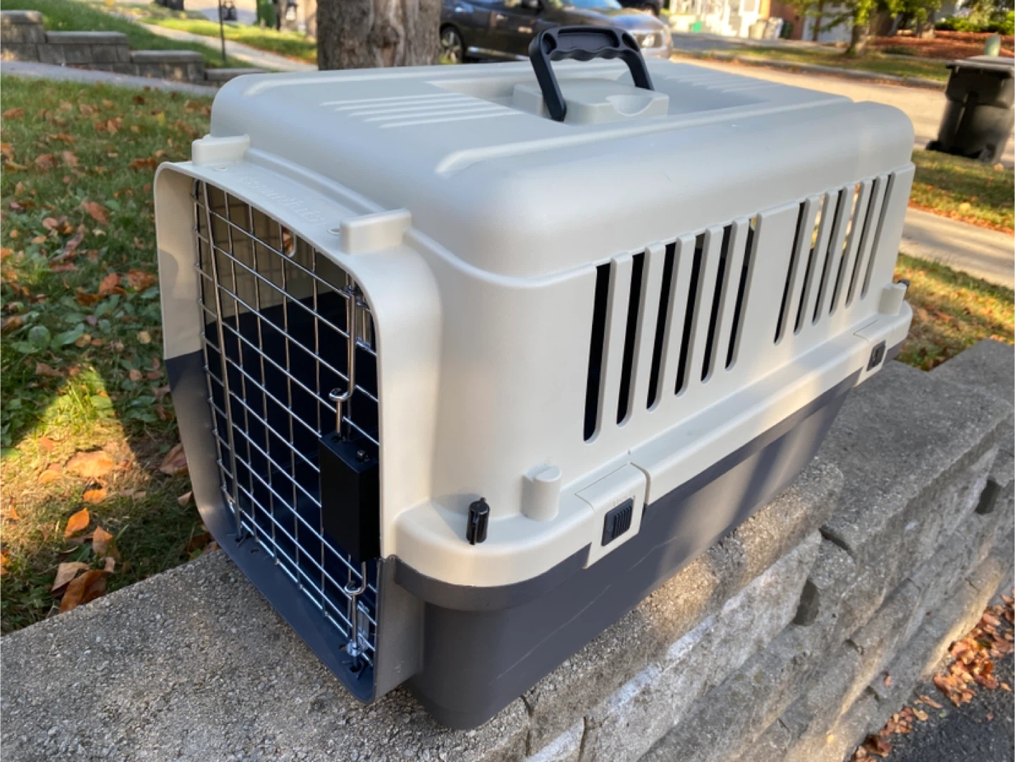 Pet Carrier
