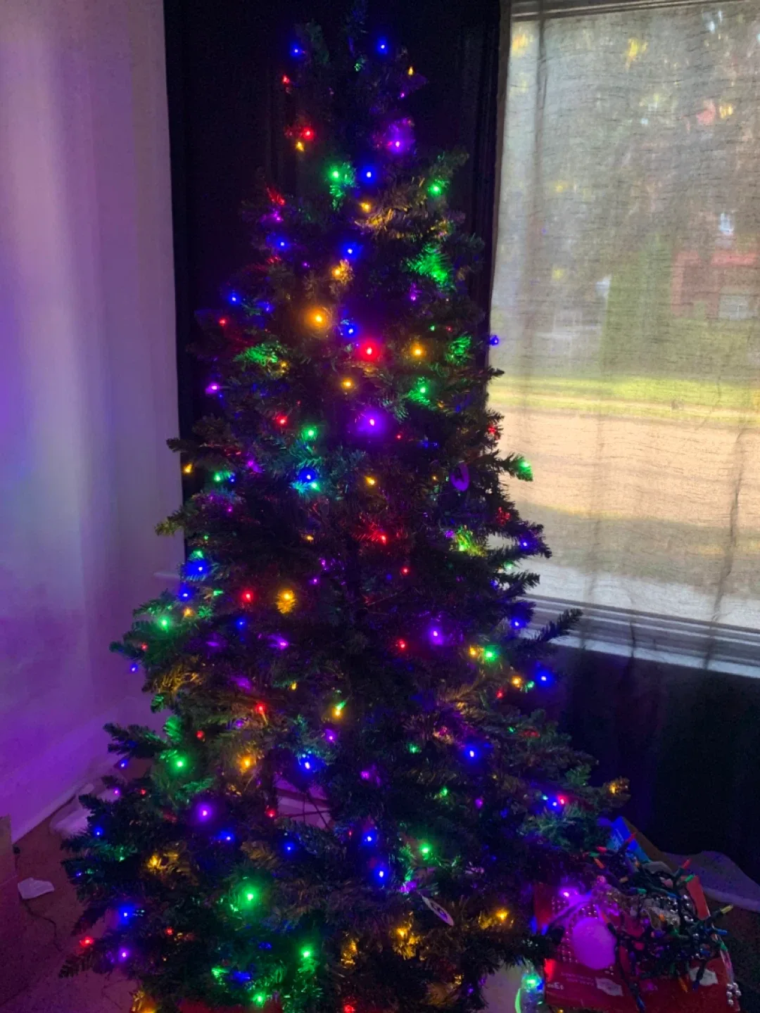 7 Foot Braxton Fir Tree