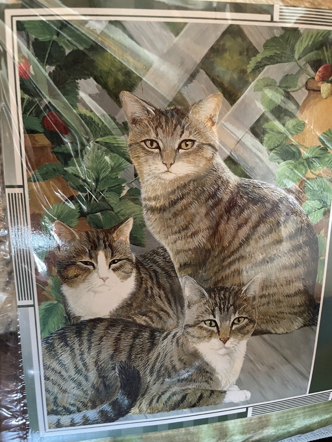 Brand New LARGE Cat Micro Velour Blanket - 60" x 80" - photo 2
