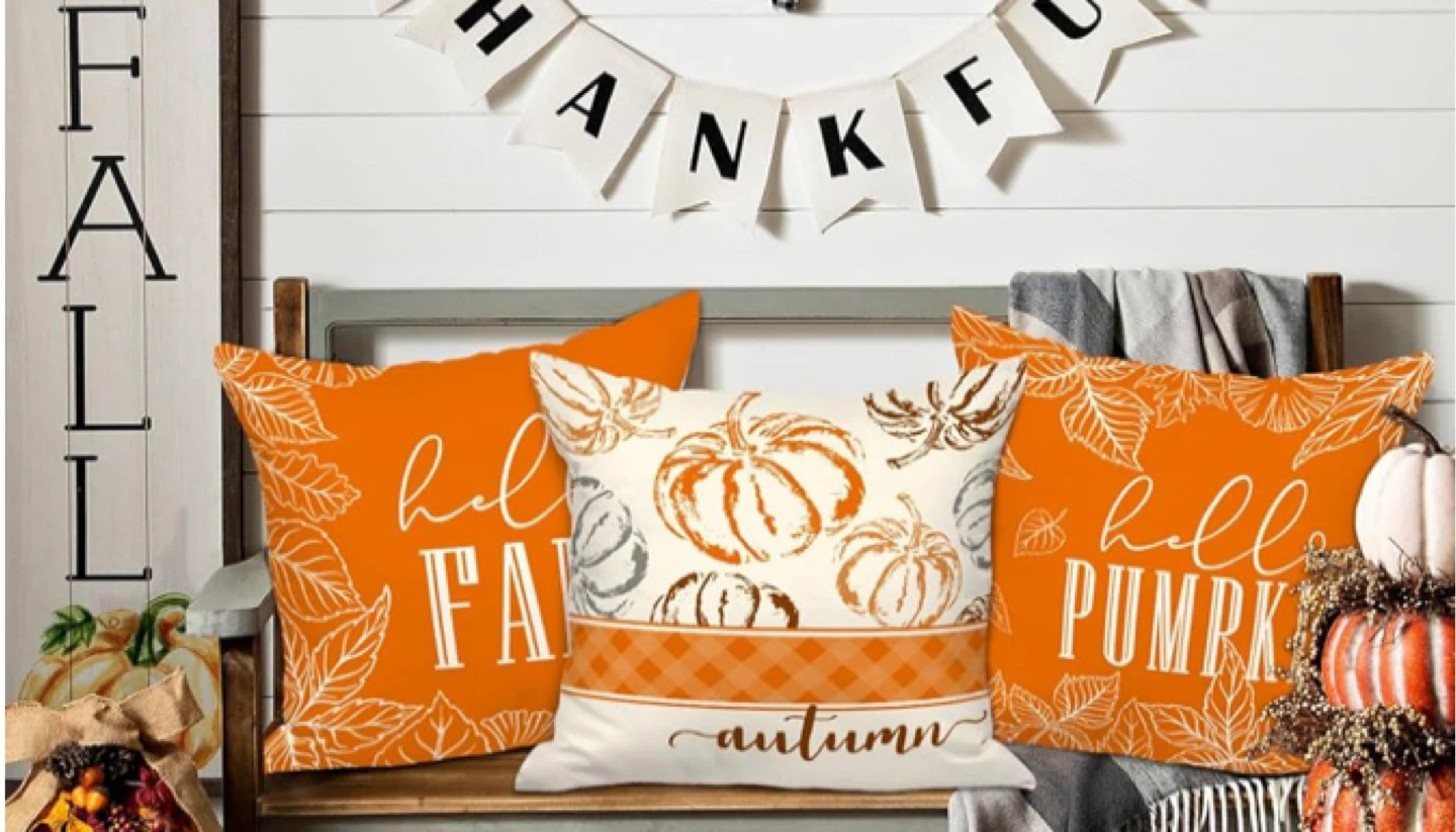 Thanksgiving Pillow Covers - photo 3