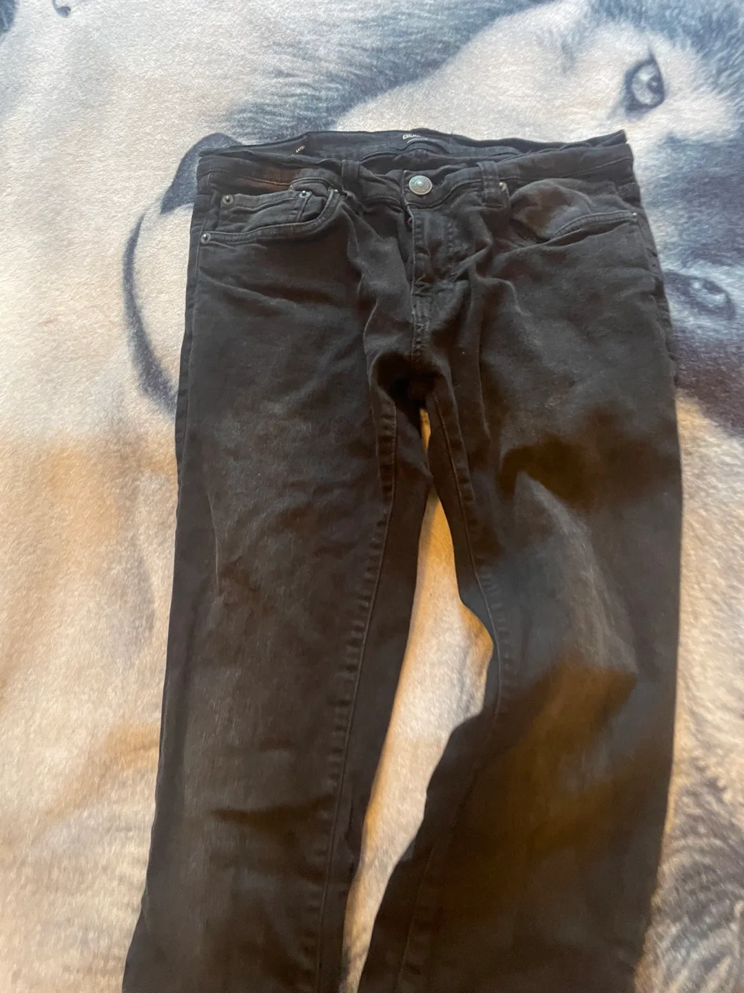 Bluenotes men’s Black Jeans - Size 31 image indicator(4)