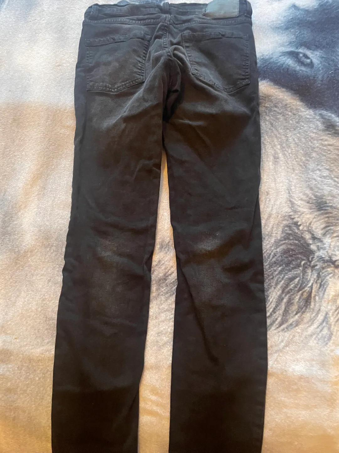 Bluenotes men’s Black Jeans - Size 31 image indicator(5)