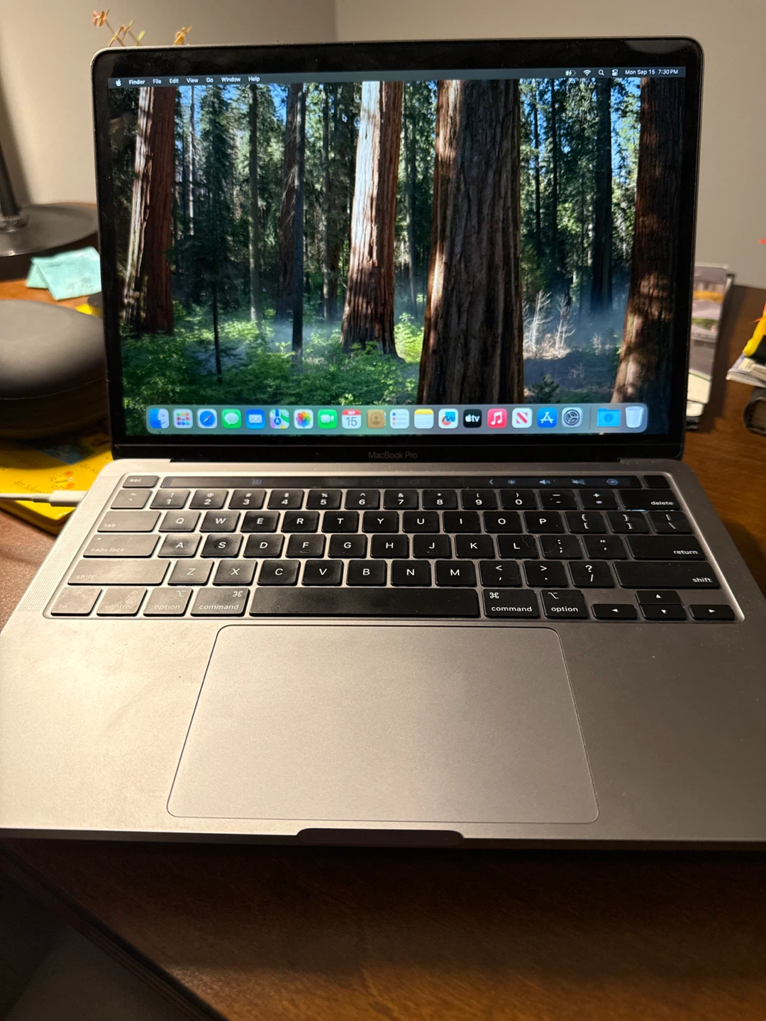 MacBook Pro 13.3-inch