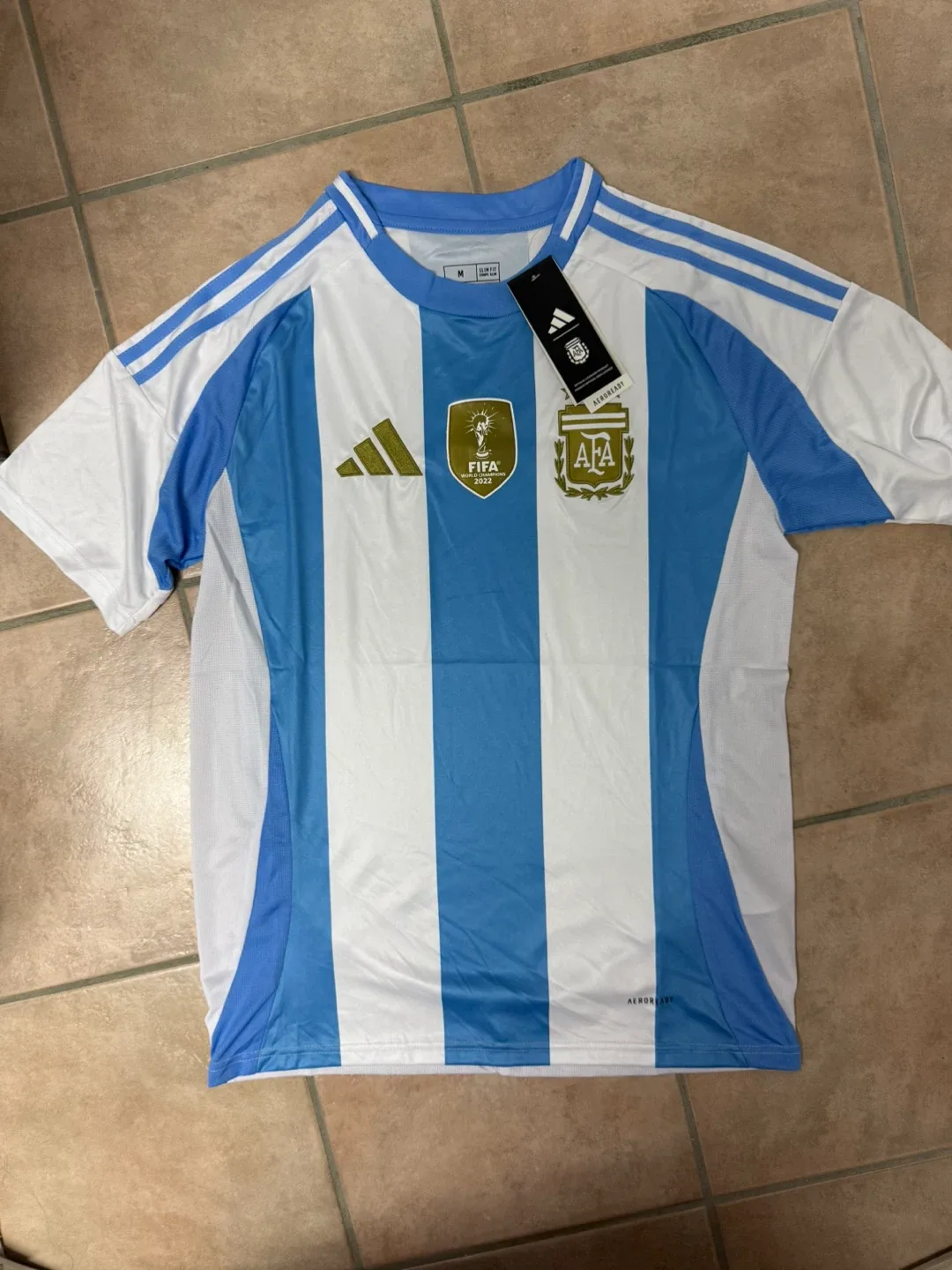 Argentina soccer jersey thumbnail