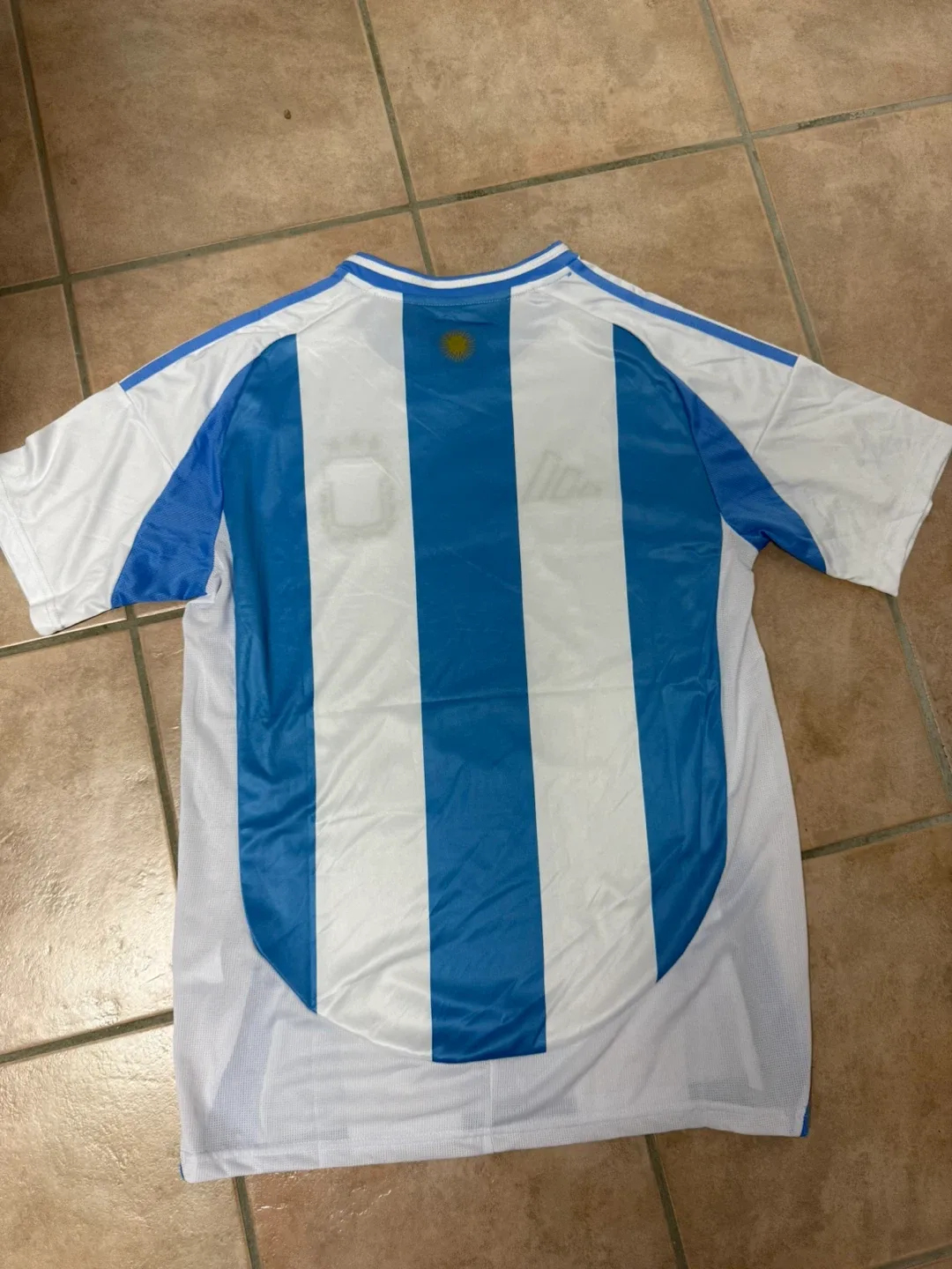 Argentina soccer jersey image indicator(3)