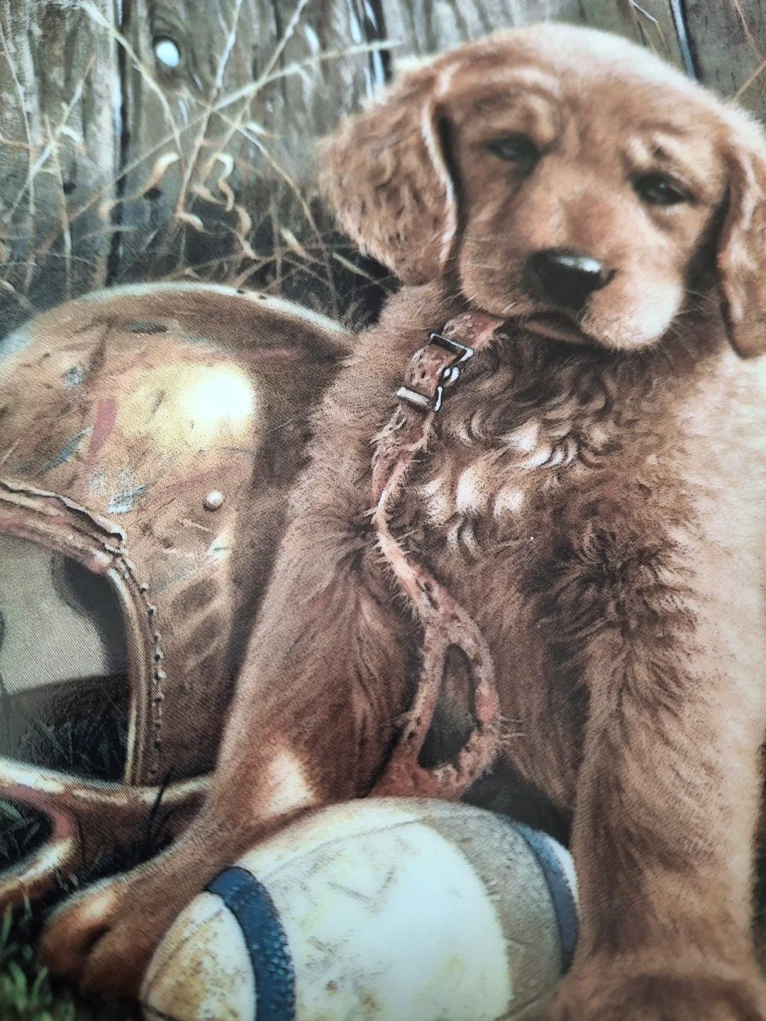 “Wide Retriever” decorative plate in frame image indicator(3)