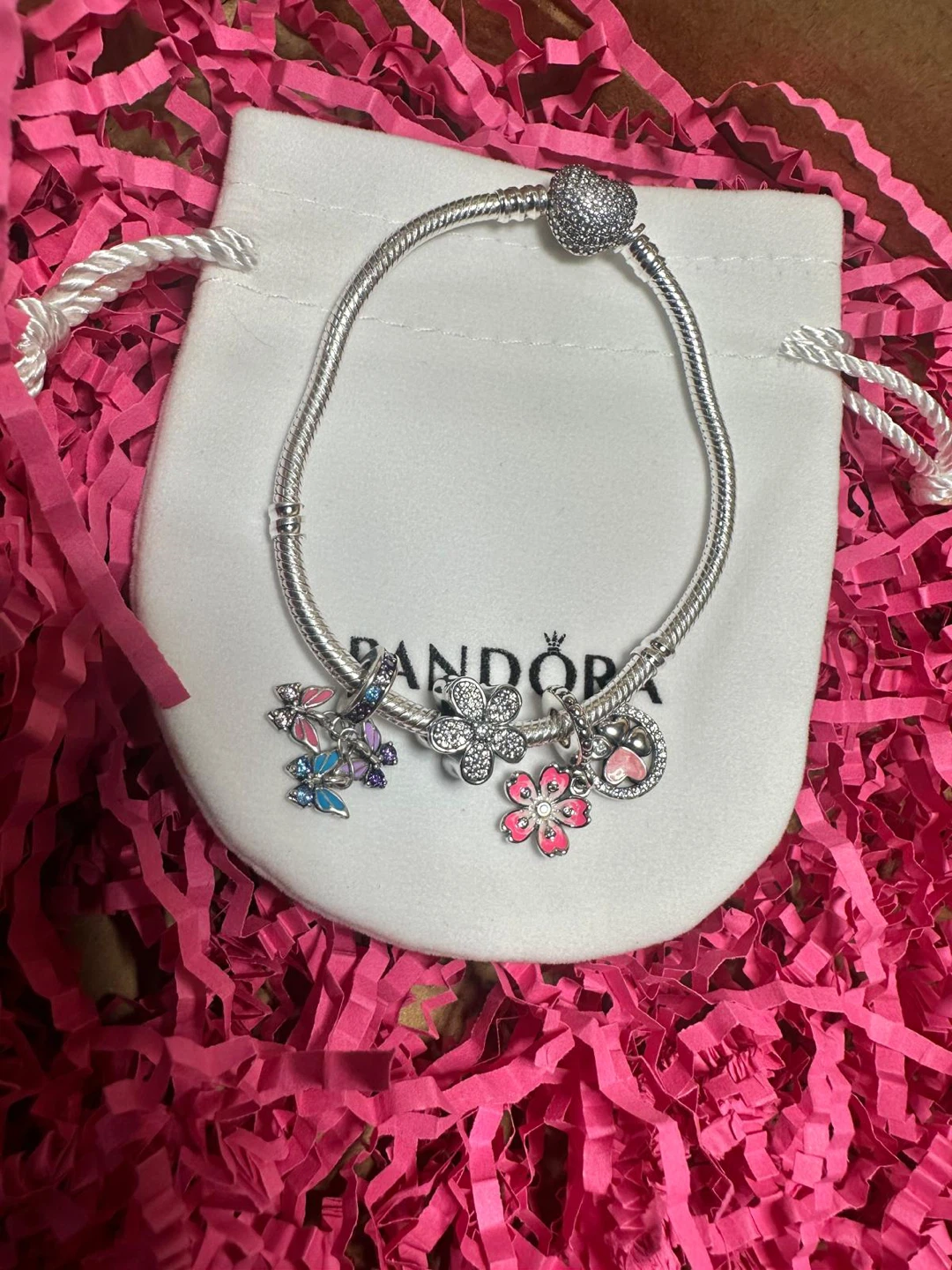 Pandora Silver Charm Bracelet - photo 3