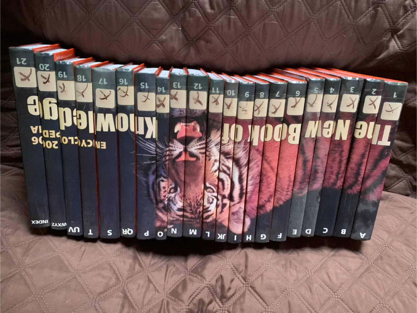 2006 Encyclopedia Set