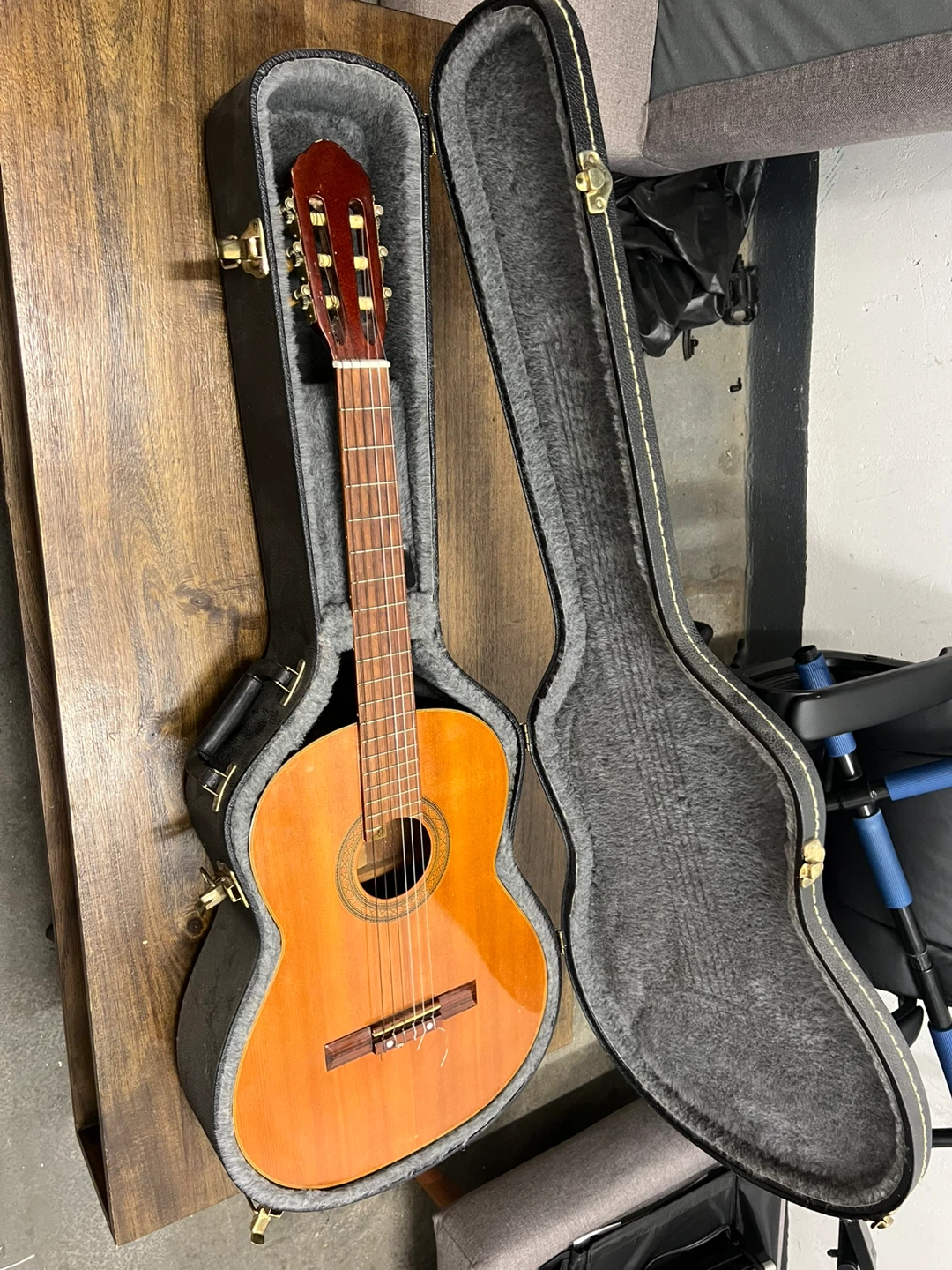 Acoustic Guitar with Hard Case
