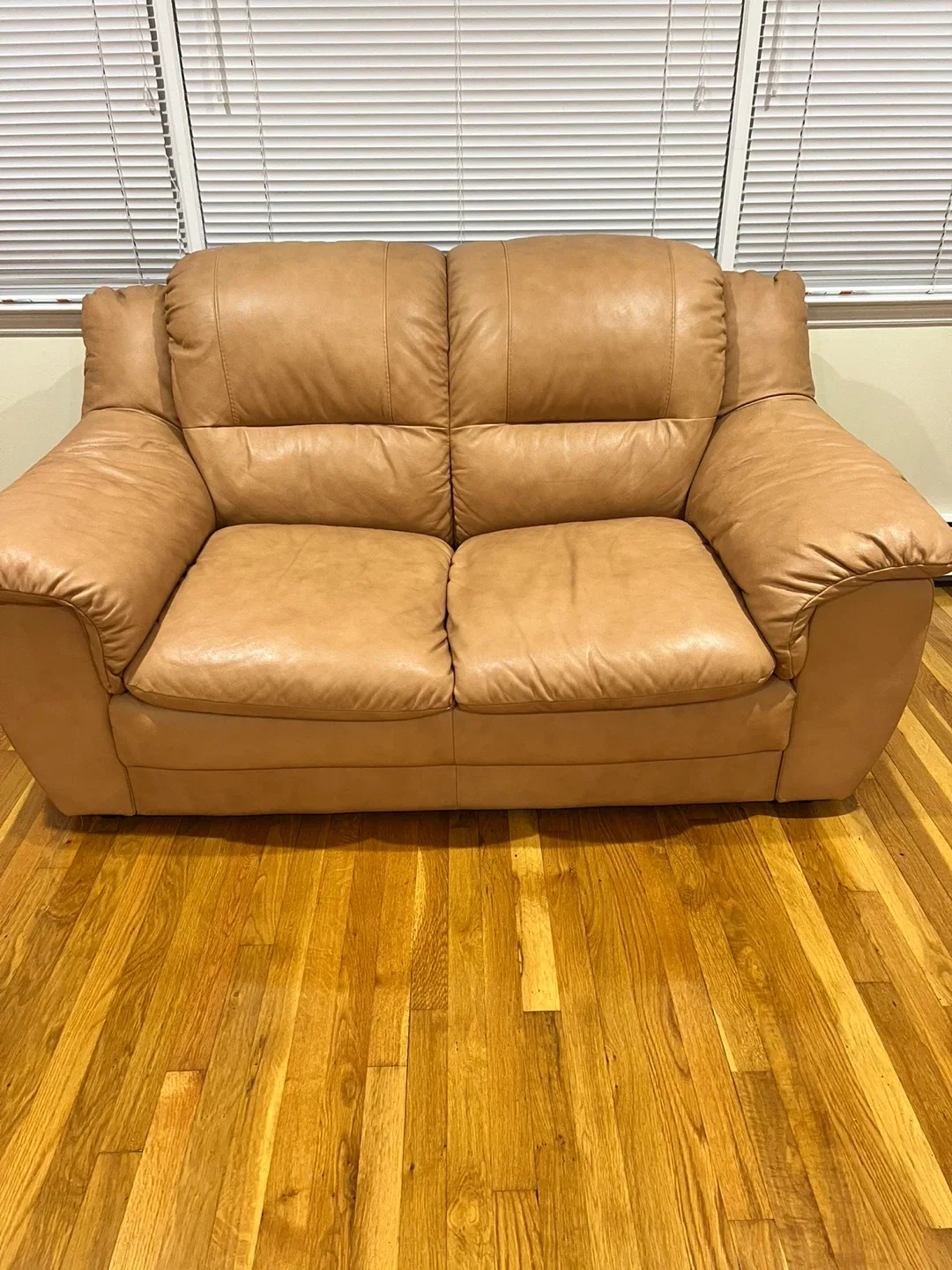 Leather Loveseat & Sofa Set image indicator(3)