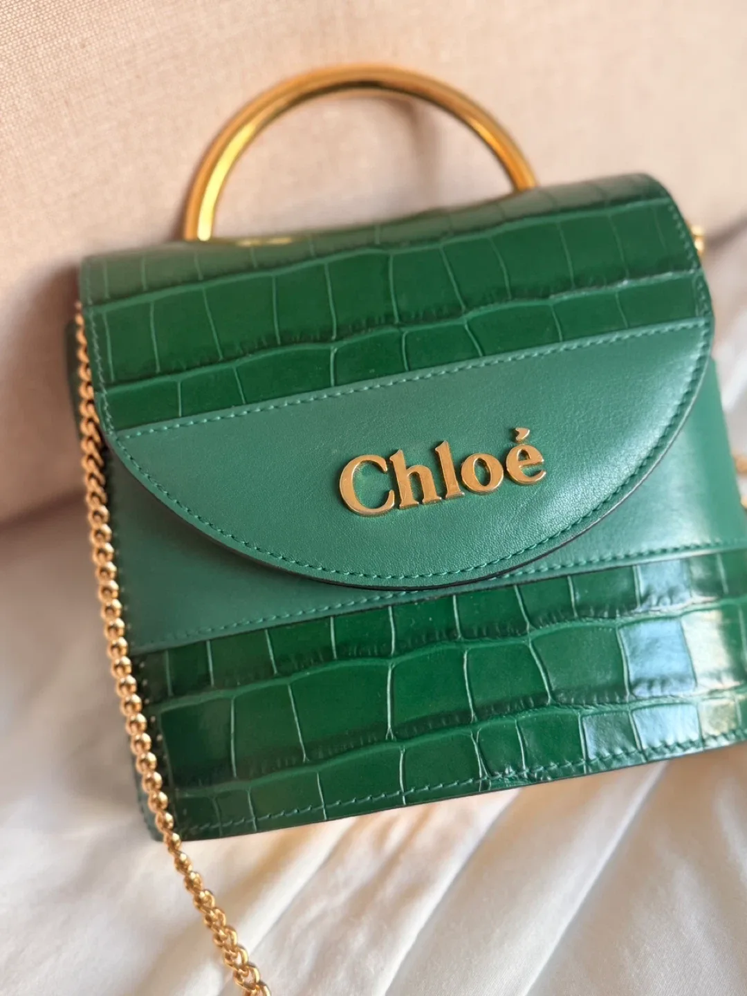 Chloé Green Crocodile Embossed Leather Bag image indicator(2)