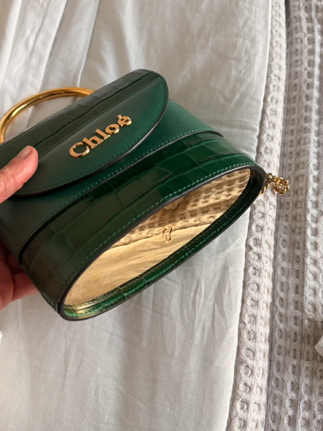 Chloé Green Crocodile Embossed Leather Bag image indicator(7)