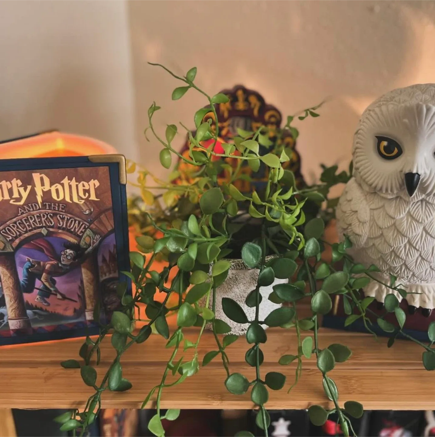 Diffuseur Scentsy Étoile Brillante image indicator(5)