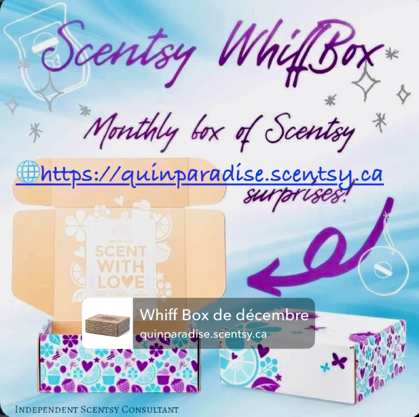 Diffuseur Scentsy Étoile Brillante image indicator(9)