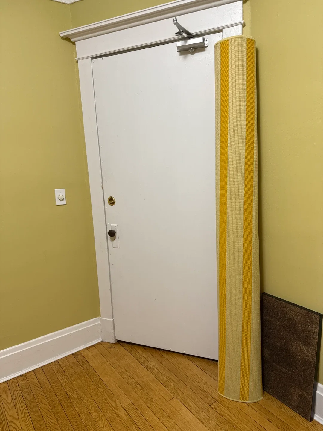 XL Indoor Outdoor Korsning Rug image indicator(4)