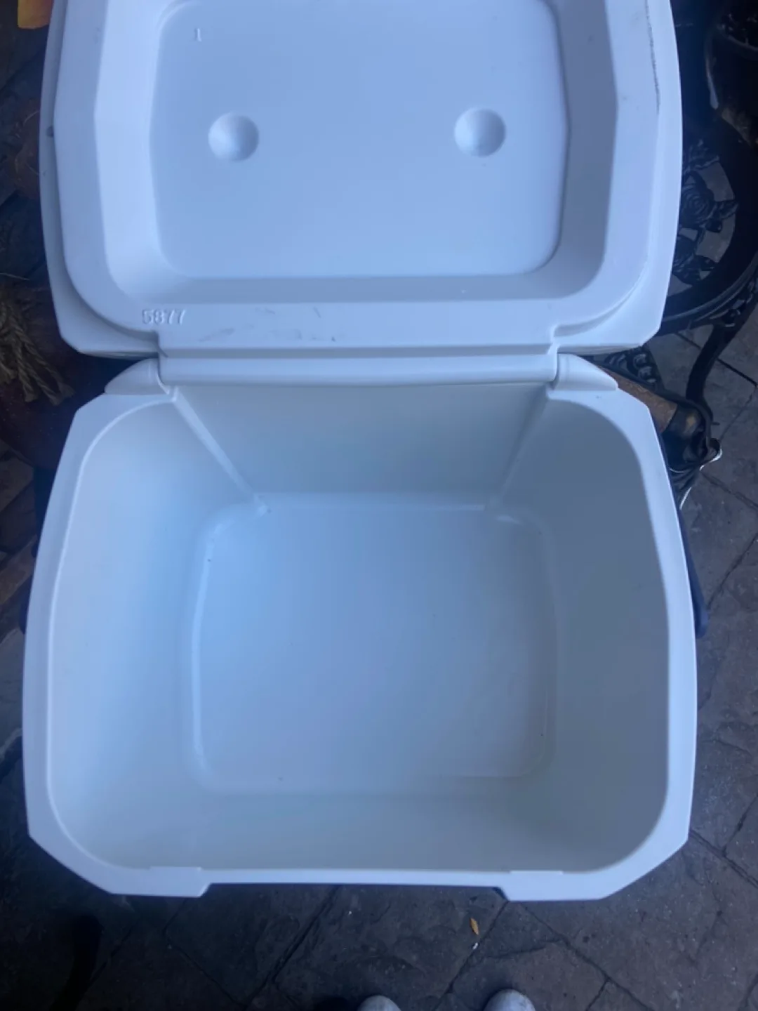 Coleman Cooler - Ocean Blue White image indicator(4)