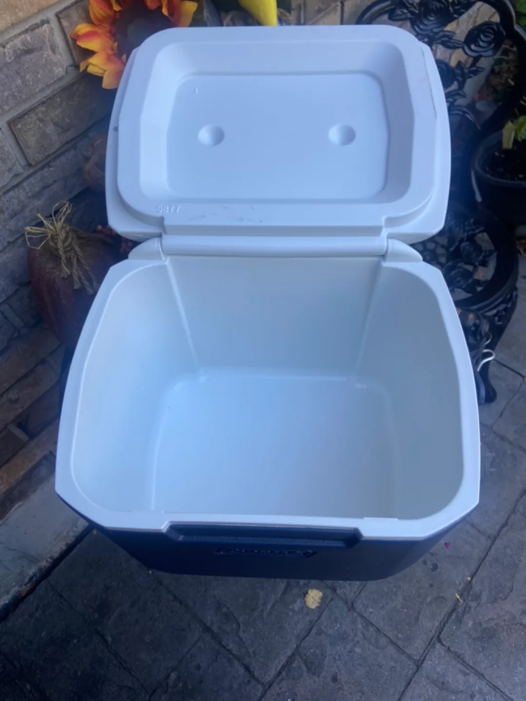 Coleman Cooler - Ocean Blue White image indicator(3)