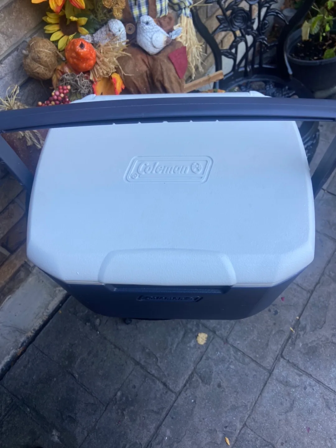 Coleman Cooler - Ocean Blue White image indicator(2)