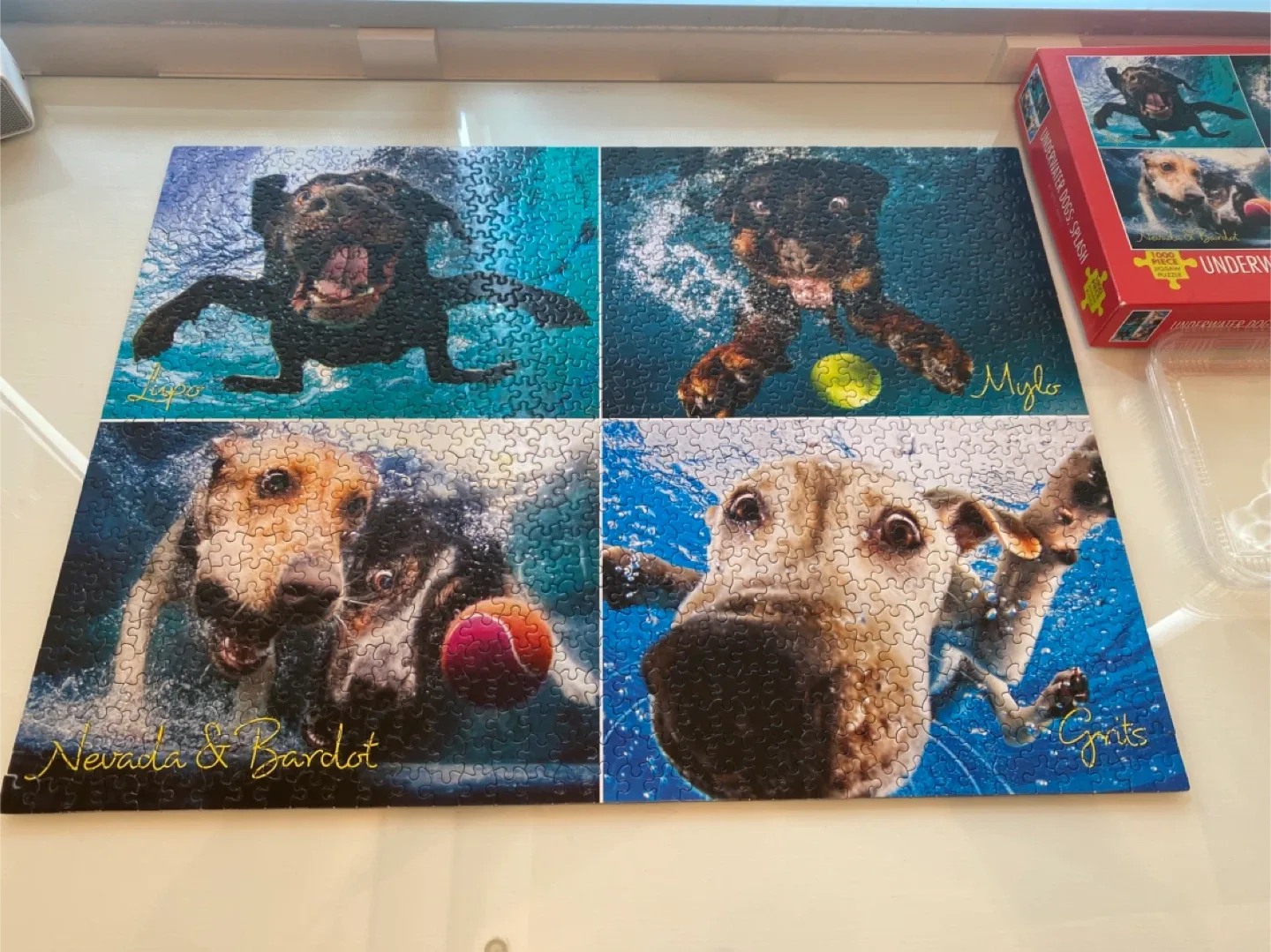 Underwater Dogs - Puzzle image indicator(3)