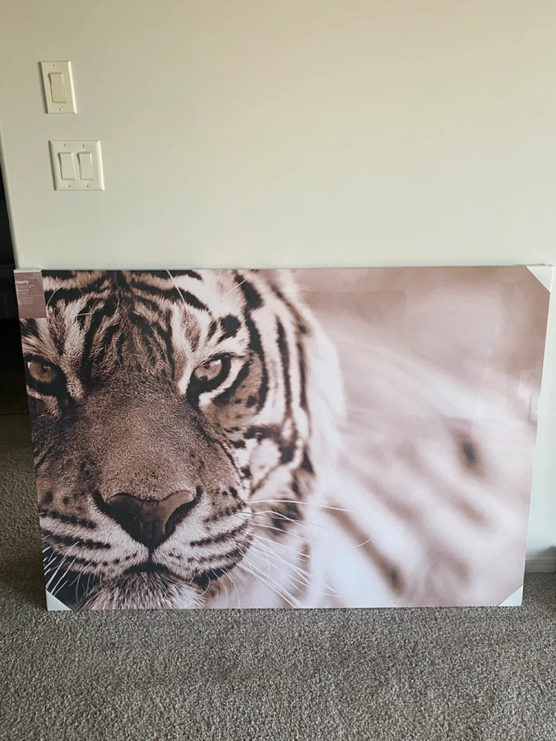 3 Canvas Prints Wall Art