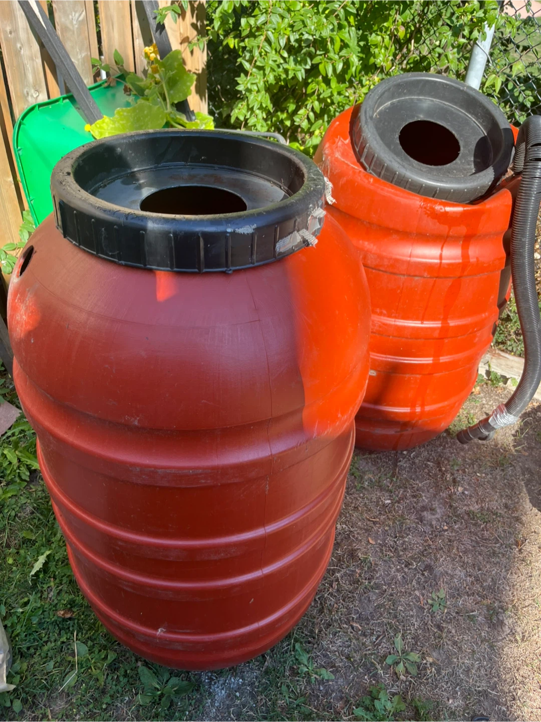 Red Plastic Rain Barrel with Black Lid