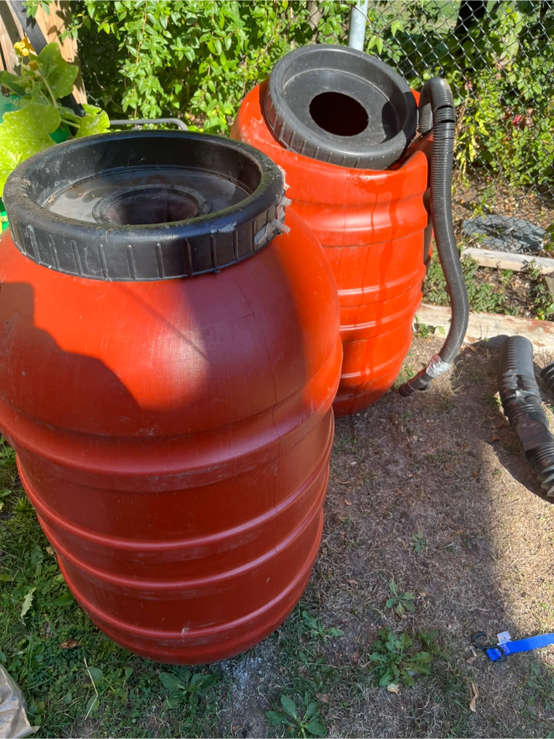 Red Plastic Rain Barrel with Black Lid - photo 2
