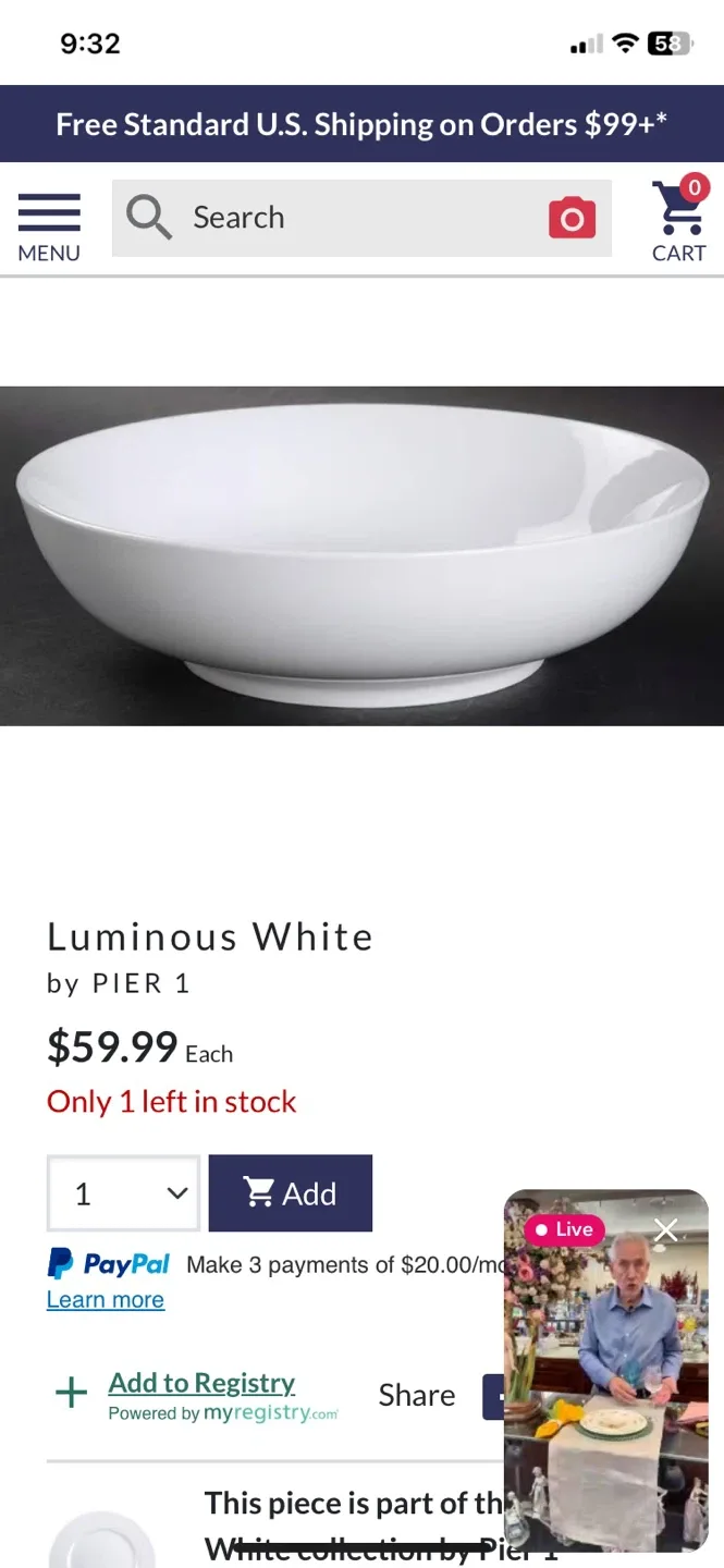 Pier 1 Luminous White Porcelain Bowls image indicator(4)