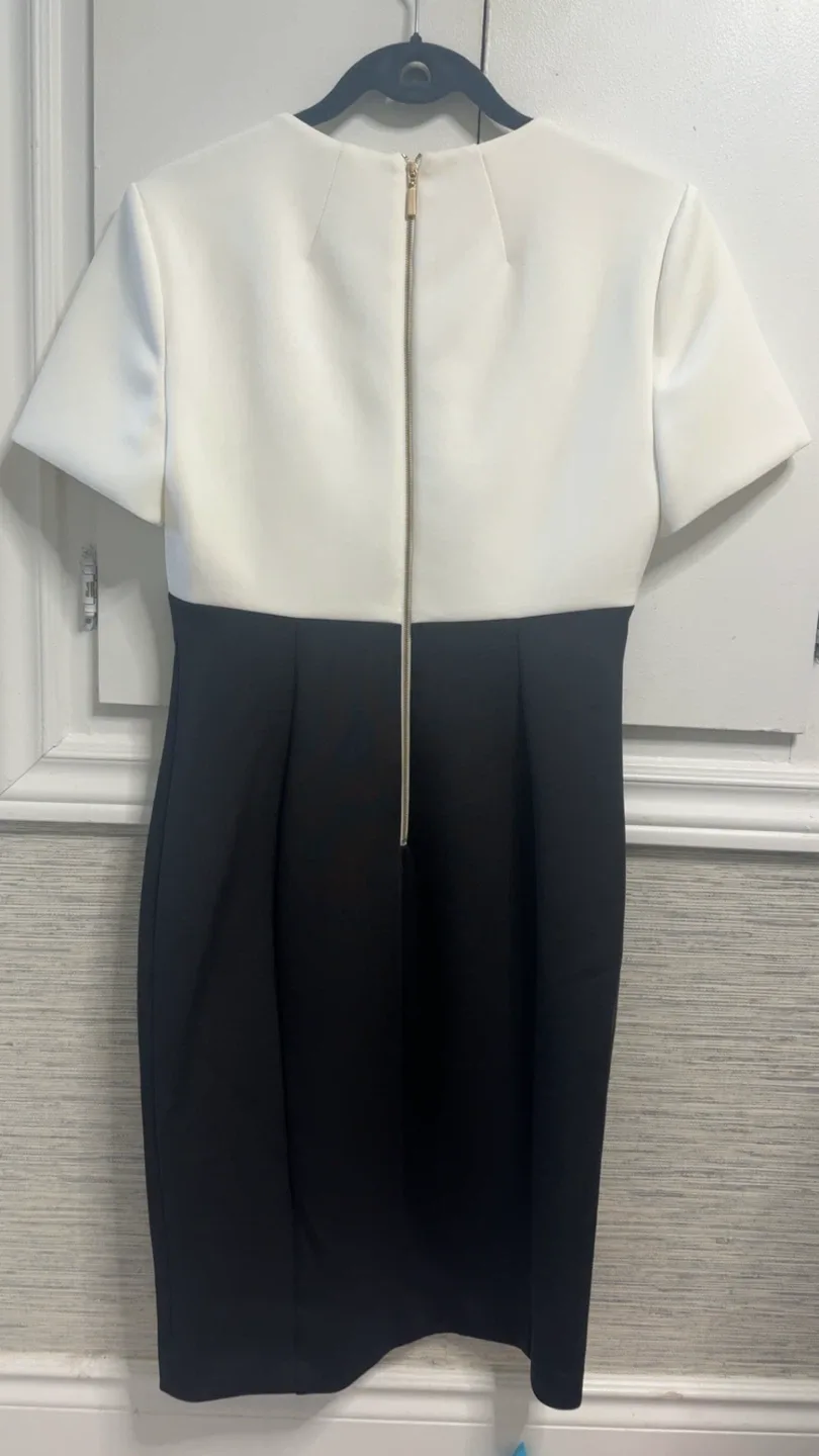 Calvin Klein Black & White Dress - Size 6 image indicator(4)