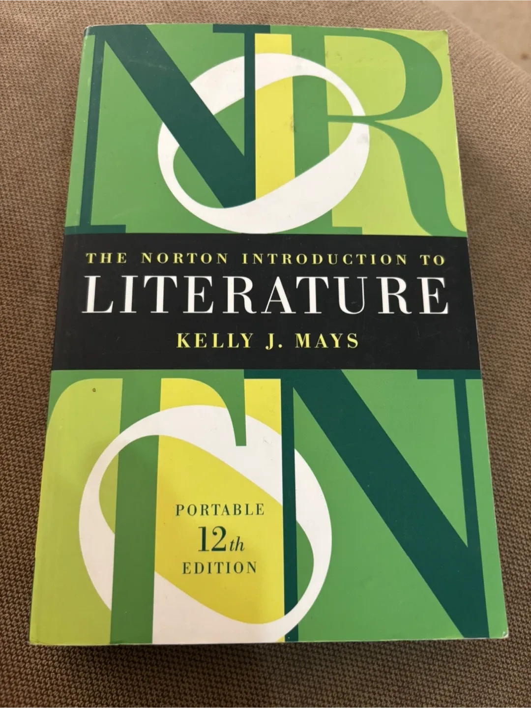 The Norton Introduction to Literature, 12th Edition thumbnail