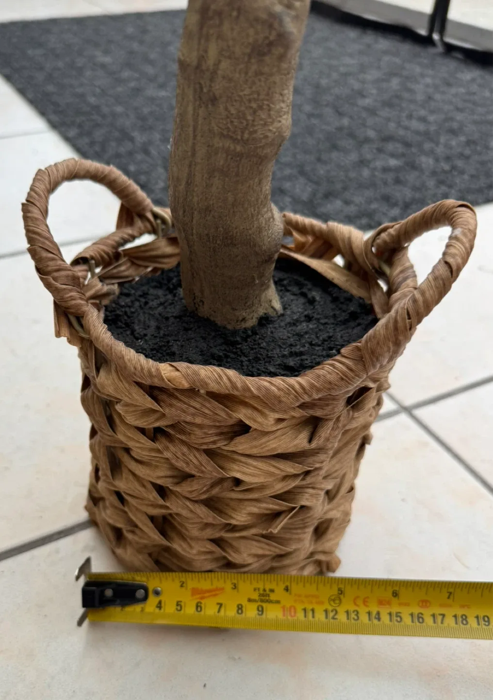 Artificial Olive Tree in Woven Basket x2 image indicator(5)