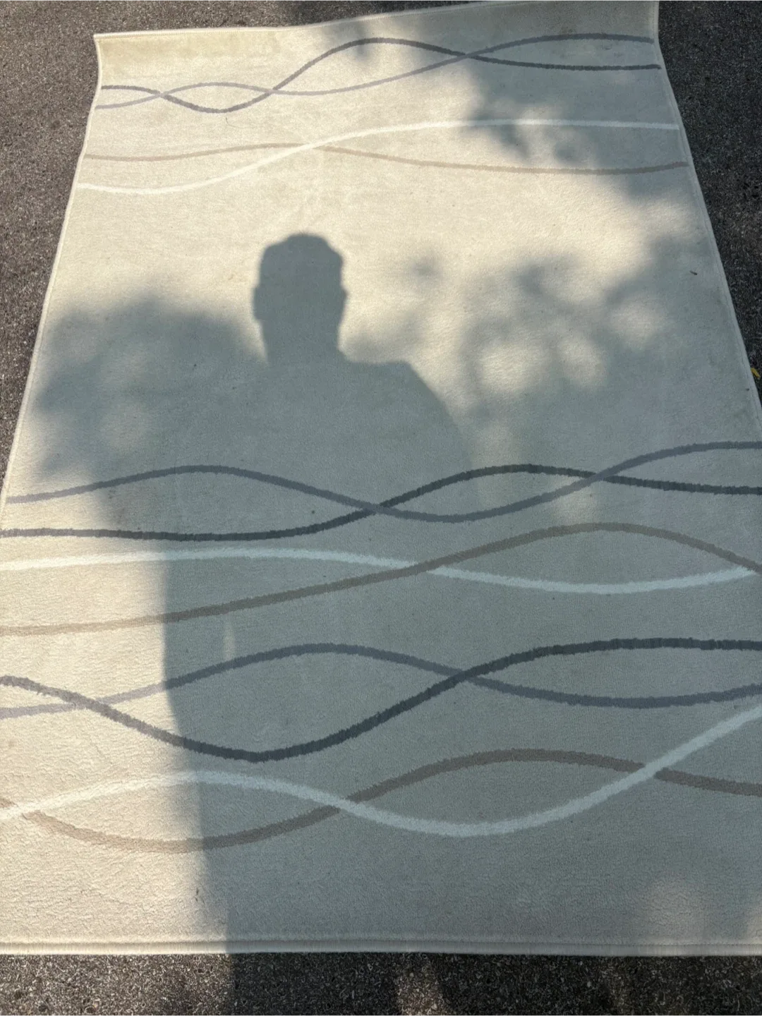 Area Rug - Beige with Wave Pattern image indicator(2)