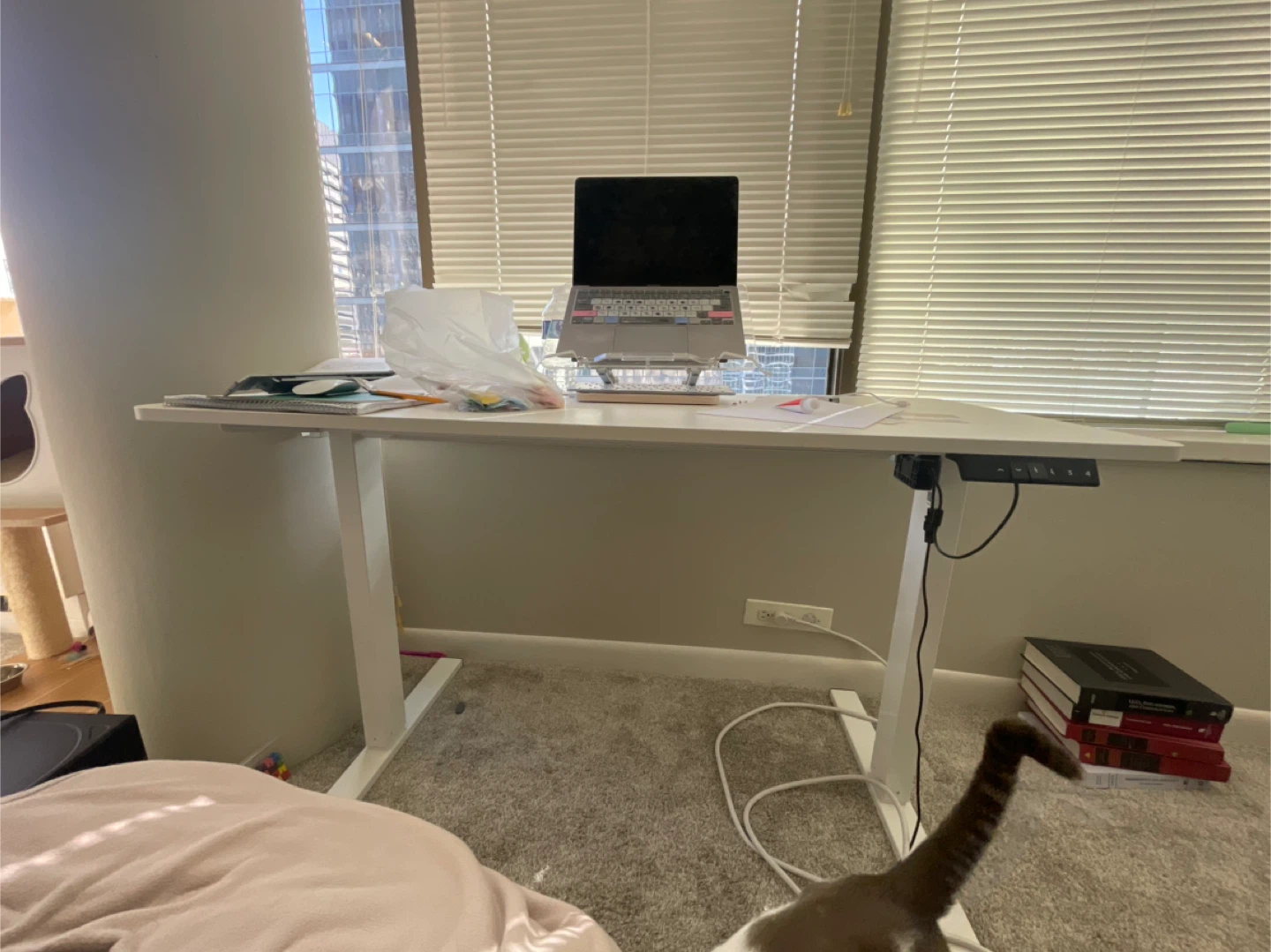White Standing Desk