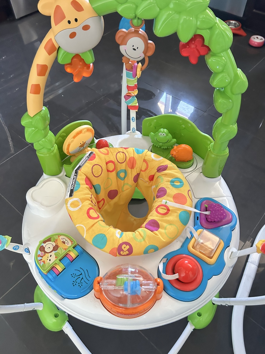 Fisher-Price Jumperoo