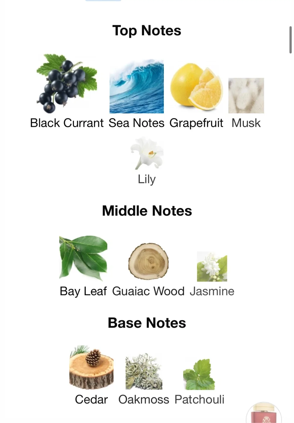 Cambridge Knight by English Laundry image indicator(3)