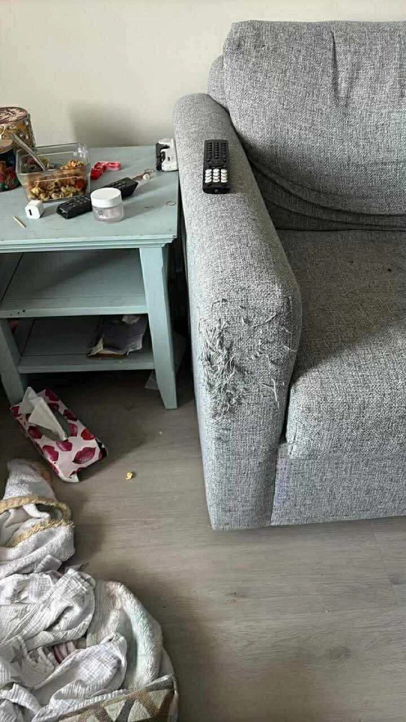 Grey Sofa - Used Condition🥕 - photo 2
