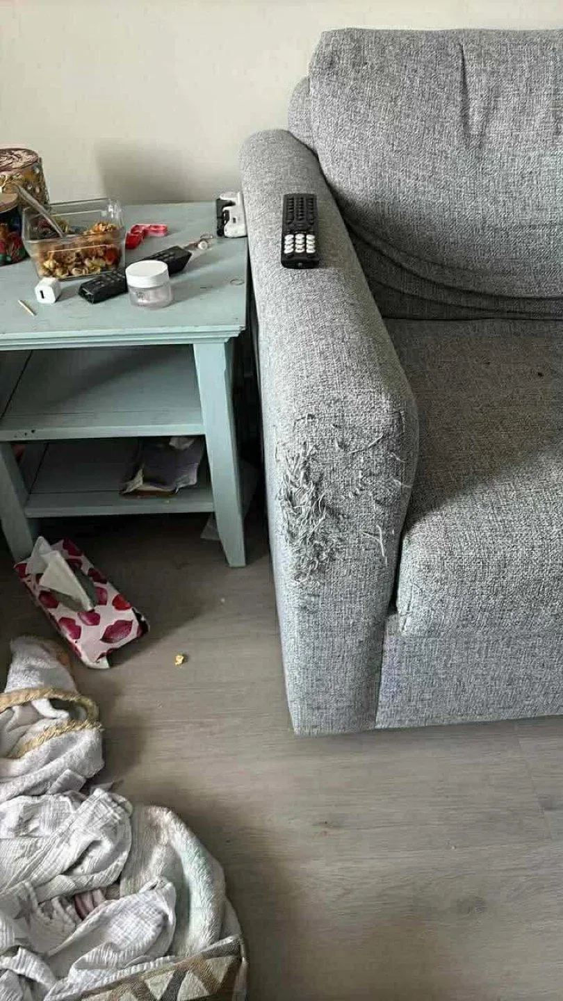 Grey Sofa - Used Condition🥕 image indicator(2)