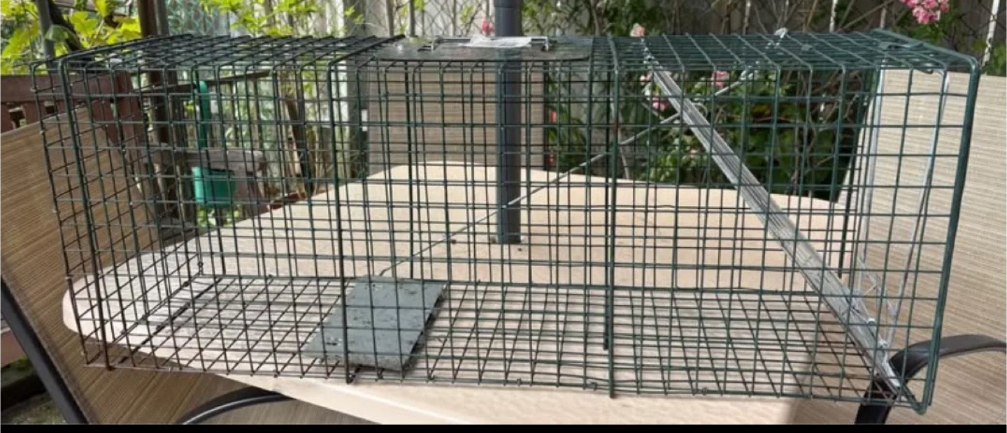32” (large) Easy Set Live Animal Cage Trap