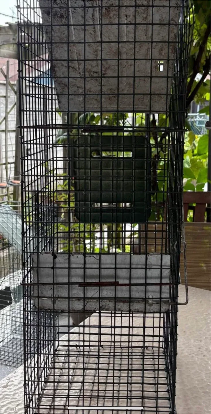 32” (large) Easy Set Live Animal Cage Trap image indicator(4)
