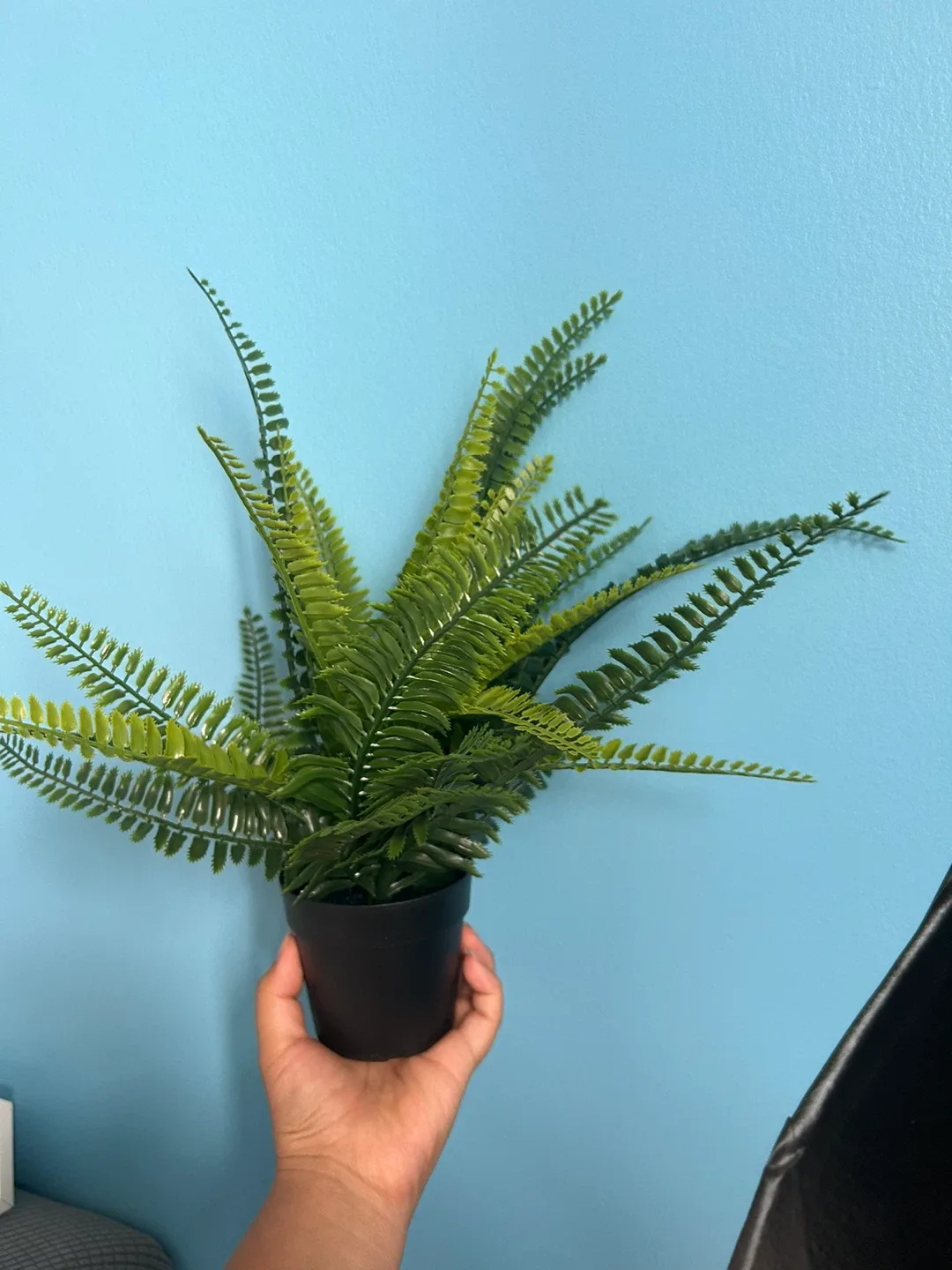 IKEA Fejka Artificial Plant🥕 thumbnail