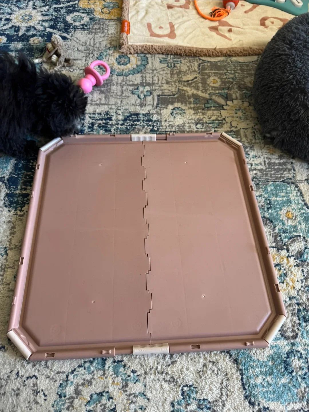 Dog Crate with Tray and PeePad thumbnail