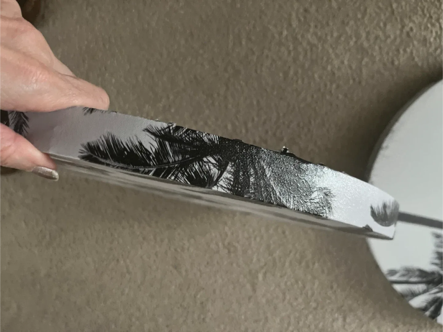 Round Palm Tree Wall Art (Set of 2) image indicator(3)