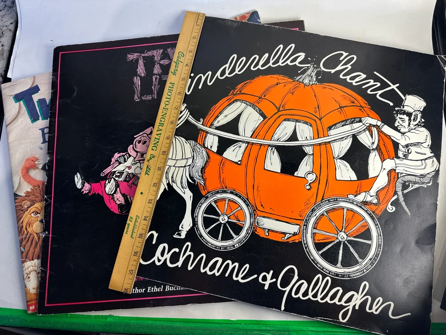 Children's Books: Cinderella Chant & Two by Two thumbnail