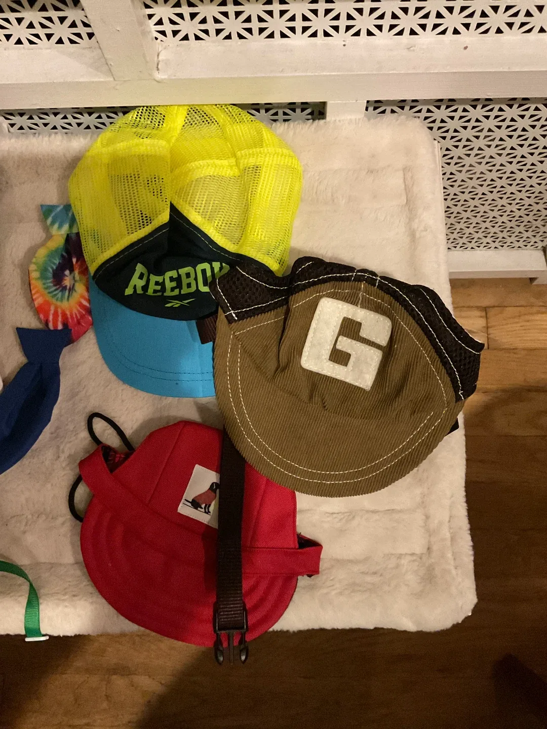 Dog Sunglasses & Bow ties &hat image indicator(3)