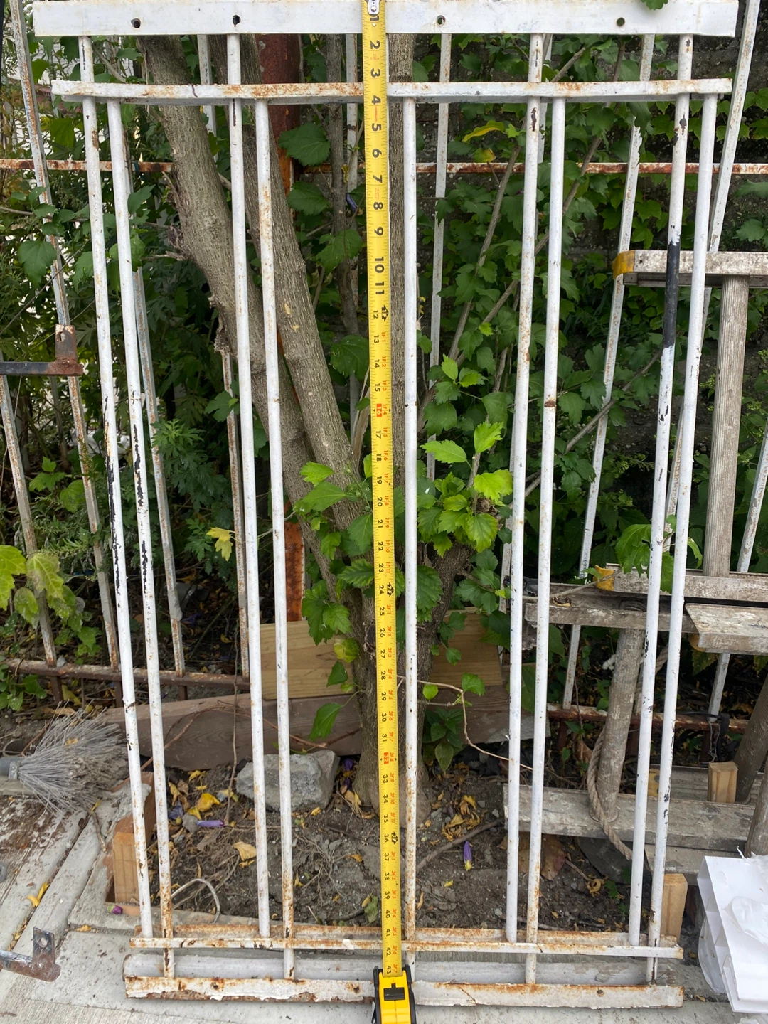 Metal Fence Gate - 42 inches tall