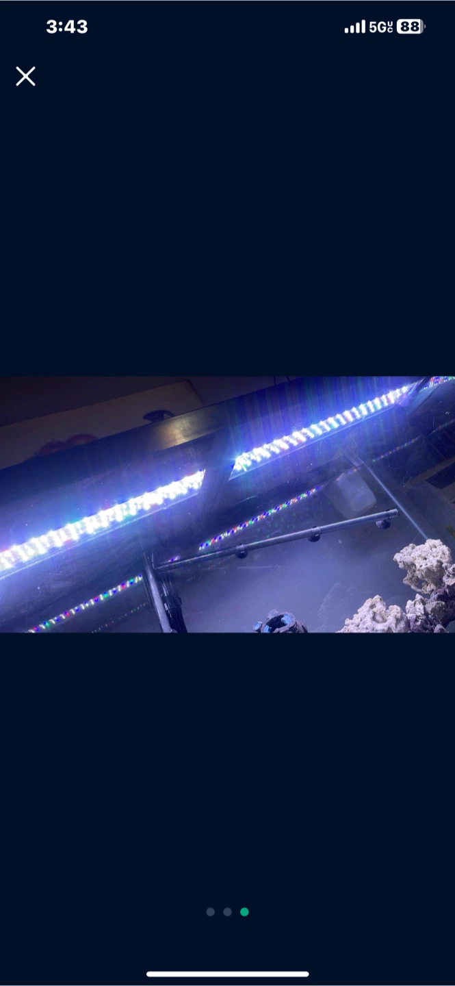 75 Gallon Fish Tank with Stands, decor and accessories - photo 3