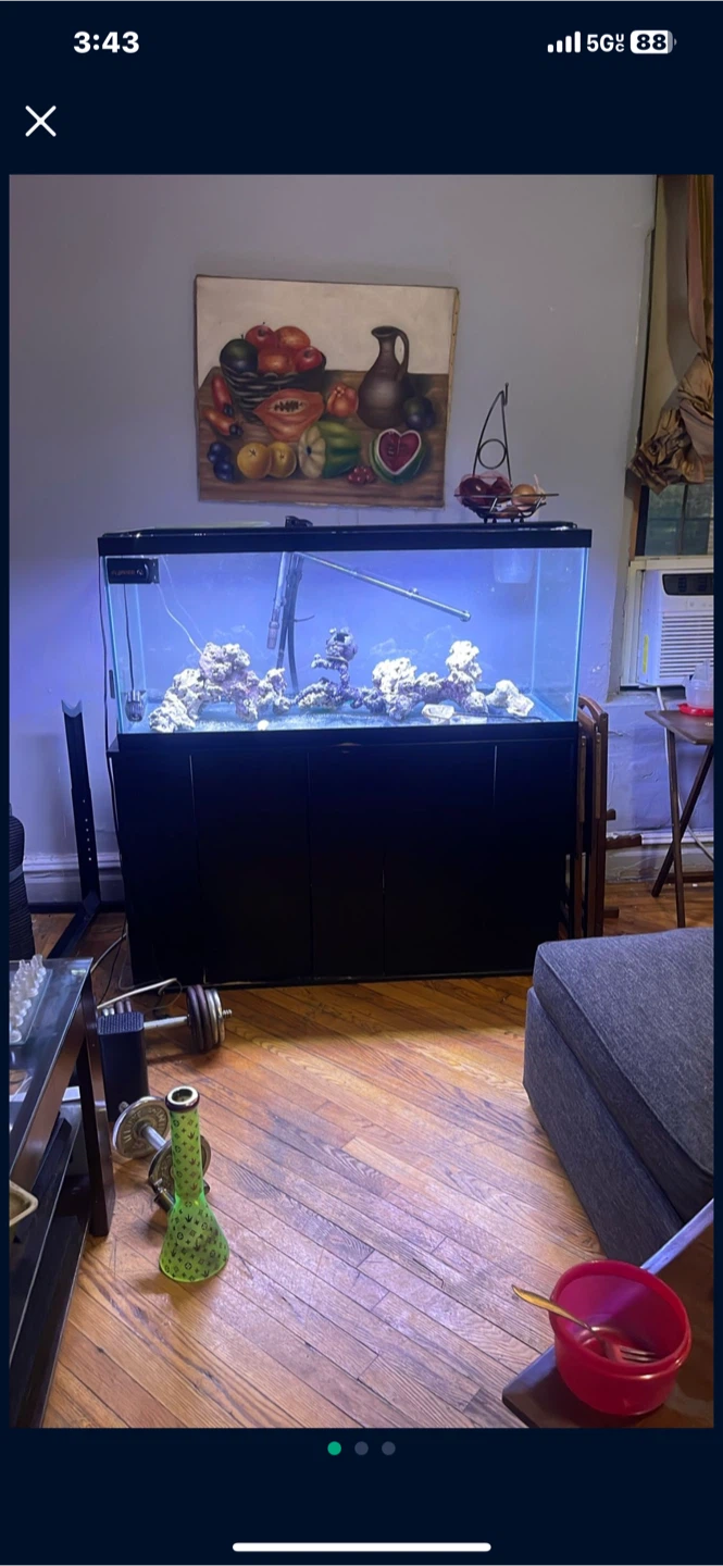 75 Gallon Fish Tank with Stands, decor and accessories